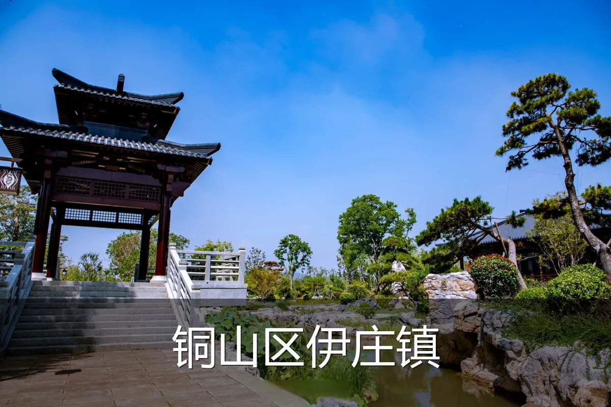 铜山区伊庄镇