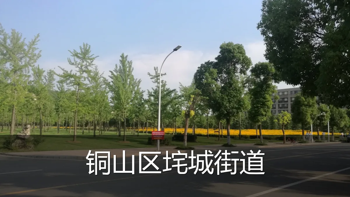 铜山区垞城街道