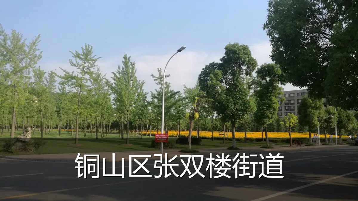 铜山区张双楼街道