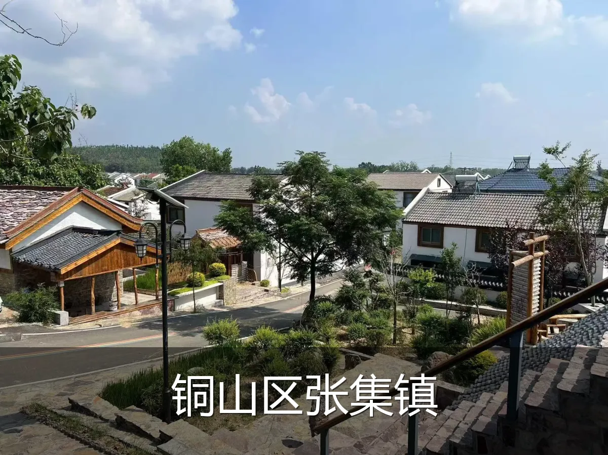铜山区张集镇