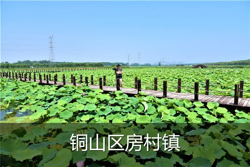 铜山区房村镇