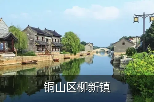 铜山区柳新镇