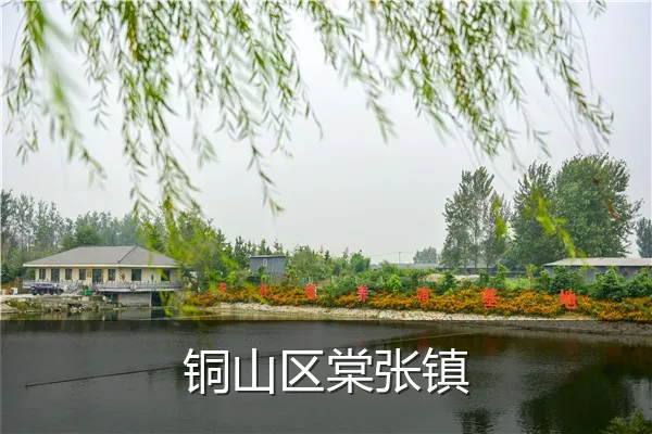铜山区棠张镇