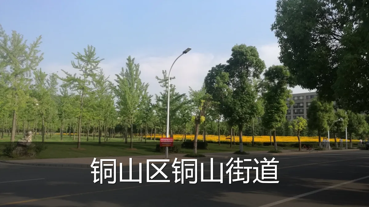 铜山区铜山街道